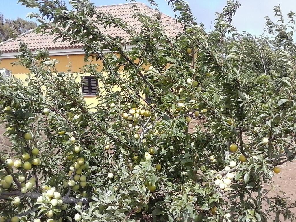 Casa Fatima Valle Gran Rey Szoba fotó